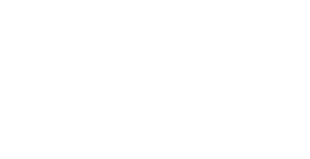 ffPro logo